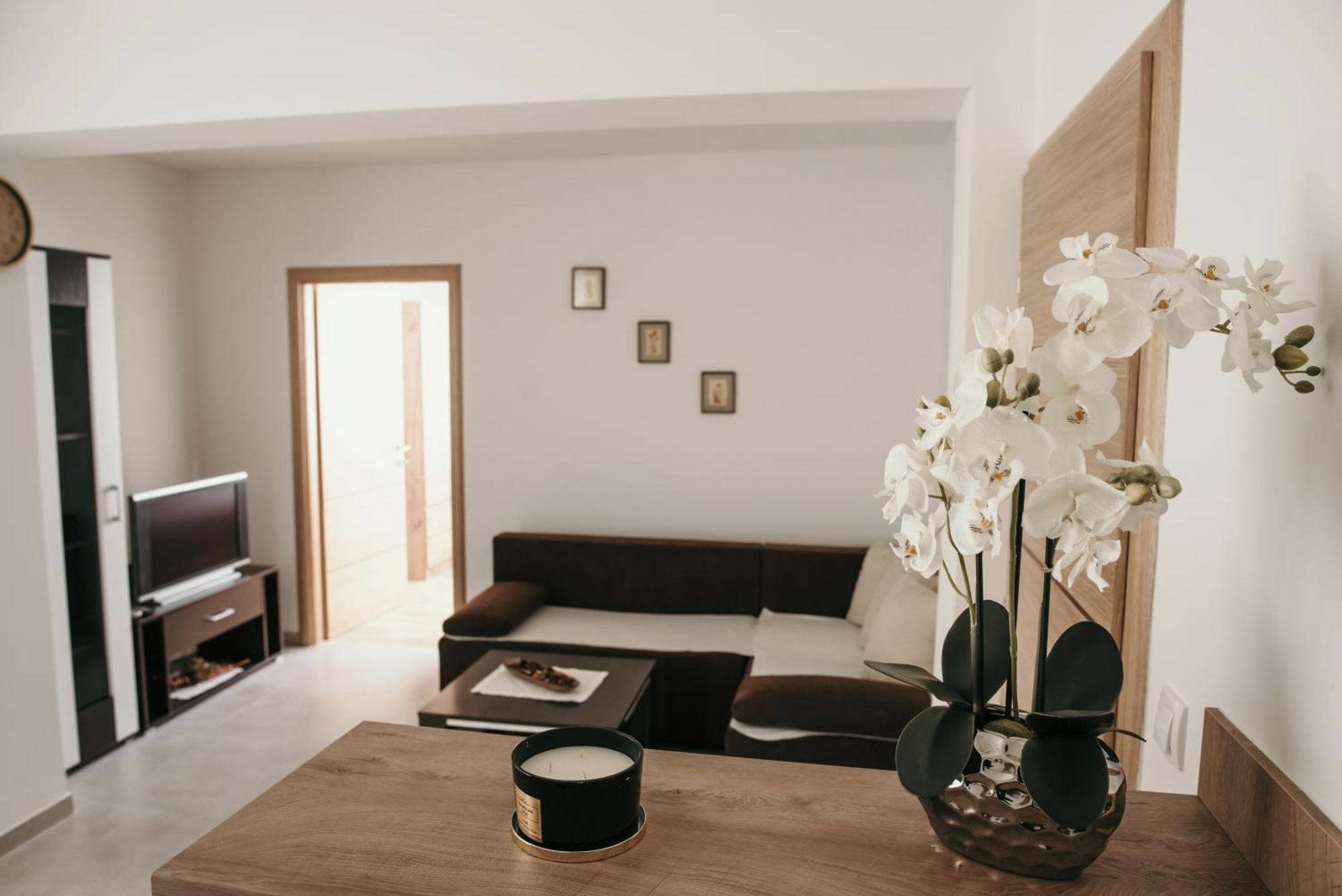 Apartman Krznaric Zupanja Bagian luar foto